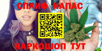 гашик Моздок