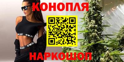 гашик Моздок