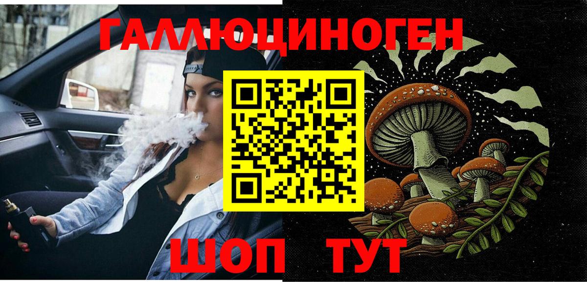 Галлюциногенные грибы Psilocybine cubensis Черняховск