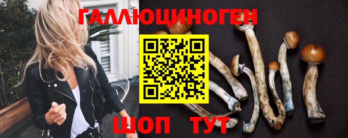 Черняховск  Галлюциногенные грибы мухоморы  Вход с VPN 